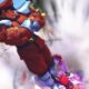 Street Fighter IV: Sagat, Bison, Vega, Balrog [UPDATE]