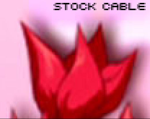 stock-closeup.jpg