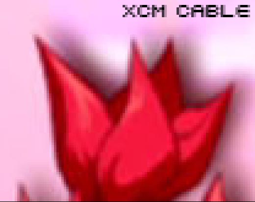 xcm-closeup.jpg