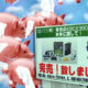 Pigs Fly: Xbox 360 Sells More Consoles In Japan
