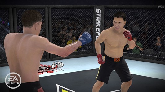 EA-Sports-MMA---Signature-Styles EA-Sports-MMA---Signature-Styles