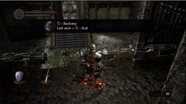 DS4+ DS4+