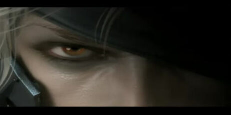 Metal Gear Solid Rising screenshot 3