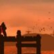 WTF: Donkey Kong Country Returns Wii Video