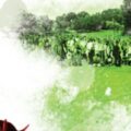 EA Announced Tiger Woods PGA Tour 11