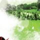 EA Announced Tiger Woods PGA Tour 11