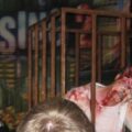 Dead Rising 2 @ E3 With Caged Zombie